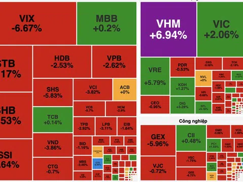 VN-Index giữ sắc xanh ngày đầu năm 2026 nhờ lực đỡ từ nhóm Vingroup