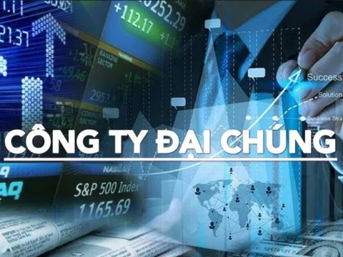 Cổ đông lớn nắm giữ tới 96% vốn, bộ đôi PV GAS và PV GAS D đối diện rủi ro hủy tư cách công ty đại chúng