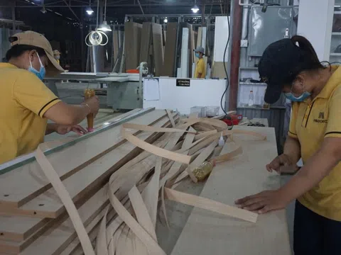 Hơn 280.000 ha rừng được trồng mới trong năm 2025