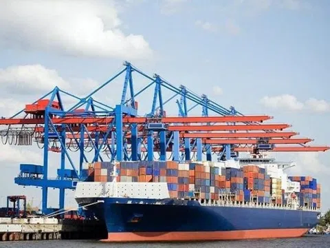 Công ty MHC (MHC) điều chỉnh số vốn góp thêm vào công ty con MHC Land đang trích lập dự phòng