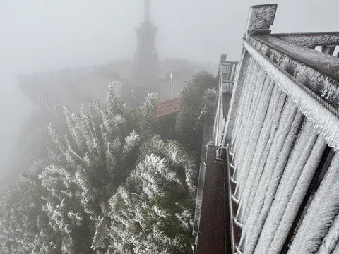 Khoảnh khắc hiếm thấy: “Hoa băng” phủ trắng Fansipan và đỉnh Phia Oắc khi nhiệt độ chạm -3 độ C