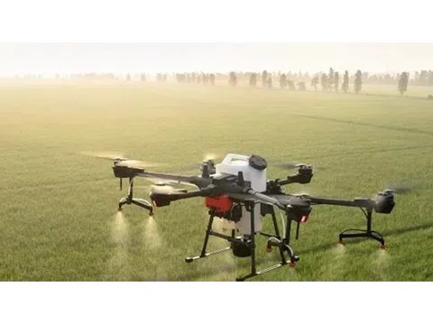 Ban hành Danh mục thuốc bảo vệ thực vật được phép và cấm sử dụng tại Việt Nam