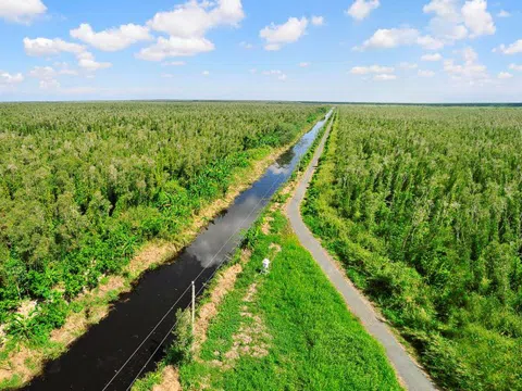 Cà Mau duyệt đề án du lịch rừng U Minh Hạ hơn 1.450 tỷ đồng