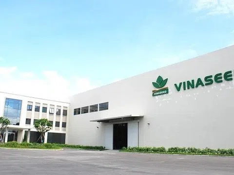 PAN Farm sắp nhận hàng chục tỷ đồng cổ tức từ Vinaseed