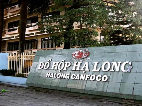 Loạt doanh nghiệp lên tiếng vụ 120 tấn thịt tả lợn châu Phi tại công ty Đồ hộp Hạ Long