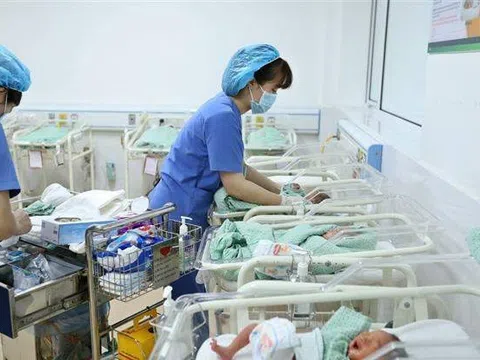 Giữ mức sinh thay thế: Cần can thiệp sớm trước xu hướng sinh thấp kéo dài