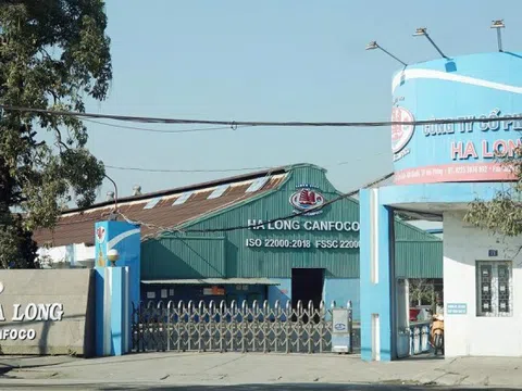 Đồ hộp Hạ Long (CAN) lên tiếng về thông tin tuồn hơn 100 tấn thịt heo bệnh vào nhà máy