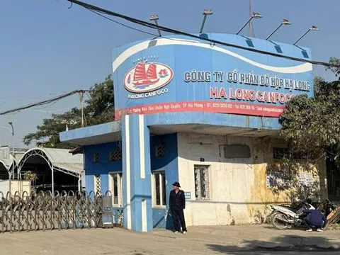 Vụ phát hiện 120 tấn thịt lợn nhiễm bệnh: Người tiêu dùng cần làm gì?