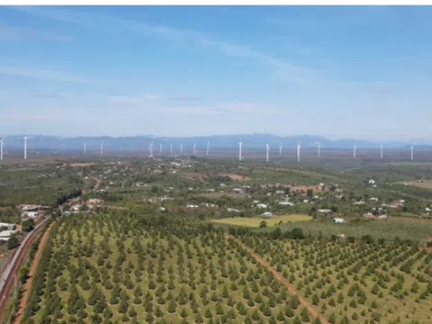 KBC tham gia phát triển điện gió trong chiến lược chuyển dịch năng lượng xanh