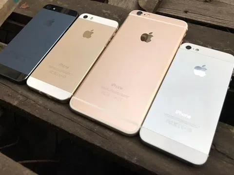 Đấu giá gần 5.000 iPhone, Oppo và Honor giá chỉ 800.000 đồng/chiếc