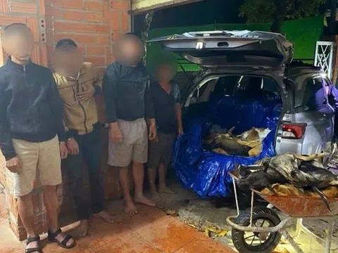 Đột kích 2 điểm nghi trộm cắp, tạm giữ 9 đối tượng cùng 1,5 tấn chó