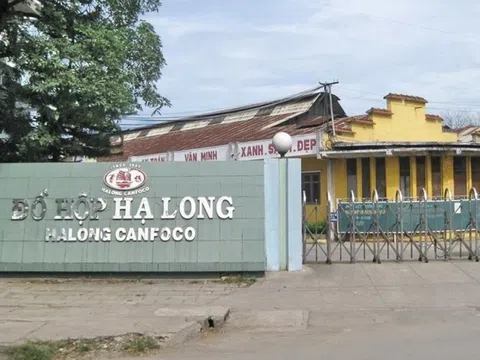 Bắt khẩn cấp Tổng Giám đốc Công ty Cổ phần Đồ hộp Hạ Long