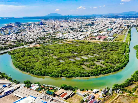 Lâm Đồng "đánh thức" gần 30ha đất ngập nước, tái sinh "lá phổi xanh" giữa đô thị