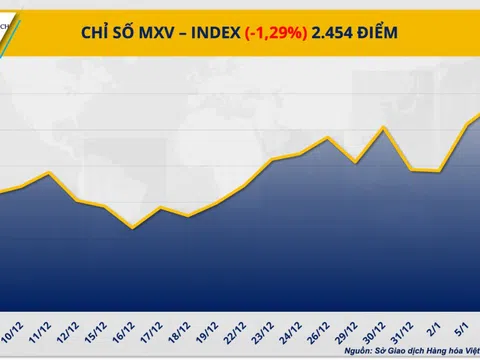 THỊ TRƯỜNG HÀNG HÓA: Giá bạch kim lao dốc, lúa mì ‘nóng’ dần theo vụ mùa Mỹ
