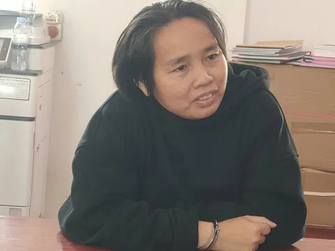 Bắt giam Hồ Thị Hải về hành vi lợi dụng quyền tự do dân chủ