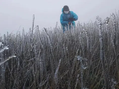 Dự báo thời tiết 31/12: Không khí lạnh dồn dập, có nơi xuống dưới 7 độ C