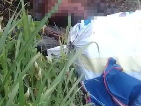 Vụ phát hiện thi thể gần trạm thu phí cầu Phú Mỹ: Công an tìm thân nhân nạn nhân