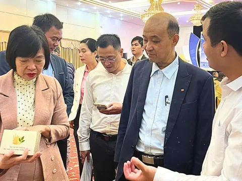 Startup Đà Nẵng đông, nhưng mạnh thì chưa nhiều