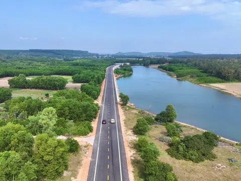 Ngắm tuyến đường xuyên rừng dương xanh đẹp như tranh vẽ ở Quảng Ngãi