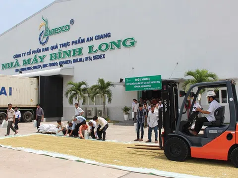 Antesco - Tân binh HoSE chốt ngày chào sàn