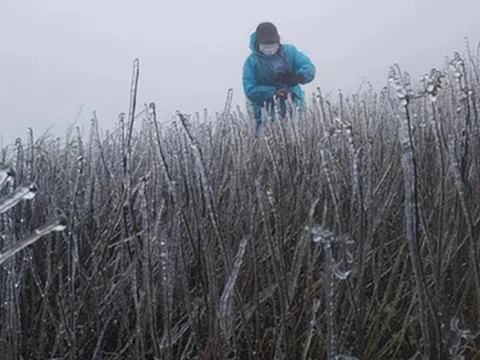 Dự báo thời tiết 2/1: Miền Bắc đón không khí lạnh rất mạnh, dự báo nơi rét đậm nhất