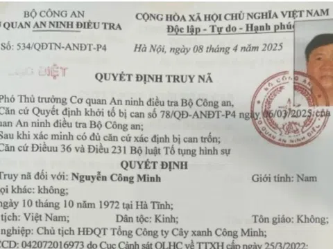 Đề nghị truy tố vắng mặt Chủ tịch HĐQT Công ty cây xanh Công Minh