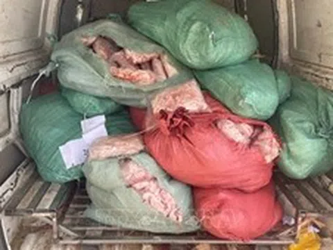 Phát hiện, xử lý vụ vận chuyển 831 kg chân gà đông lạnh bốc mùi hôi, thối