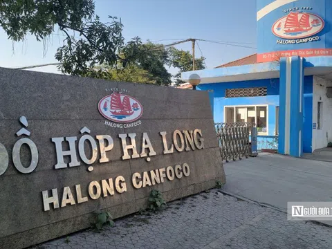 TGĐ Đồ hộp Hạ Long vừa bị bắt: Thu nhập tiền tỷ mỗi năm