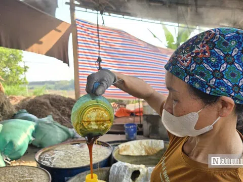 Đỏ lửa ngày đêm, làng mật mía xứ Thanh chật vật vào vụ Tết