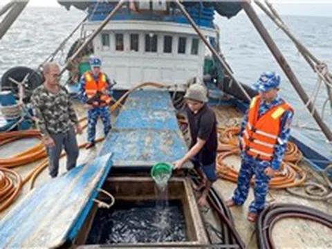 Bắt giữ tàu cá chở khoảng 100.000 lít dầu DO trái phép trên biển