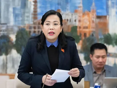 Đề nghị làm rõ trách nhiệm quản lý Nhà nước trong vụ Đồ hộp Hạ Long