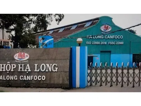 Bắt khẩn cấp Tổng Giám đốc Công ty cổ phần đồ hộp Hạ Long