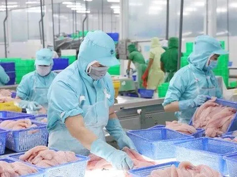 Triển vọng tích cực cho xuất khẩu cá tra của Việt Nam sang Canada