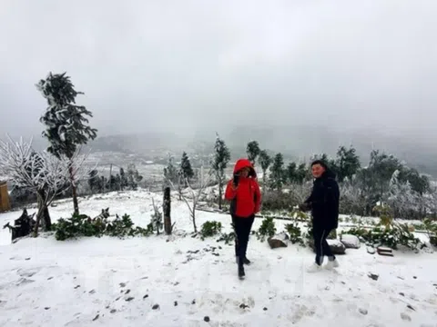 Miền Bắc sắp đón đợt gió mùa Đông Bắc cường độ mạnh, trời rét đậm