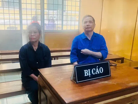 Lừa hoàn thiện pháp lý đất đai chiếm đoạt gần 13 tỷ đồng, 2 bị cáo lĩnh án nặng