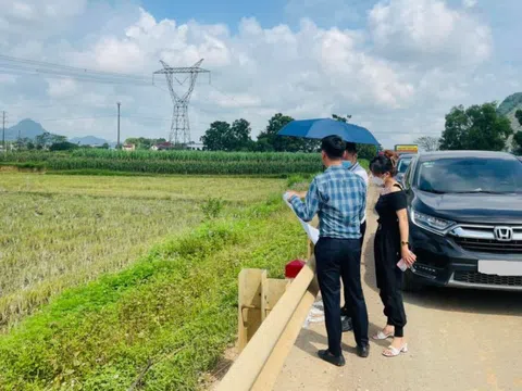 “Có những môi giới nghỉ việc ở công ty, 7 ngày sau đi làm phó tổng giám đốc doanh nghiệp riêng"