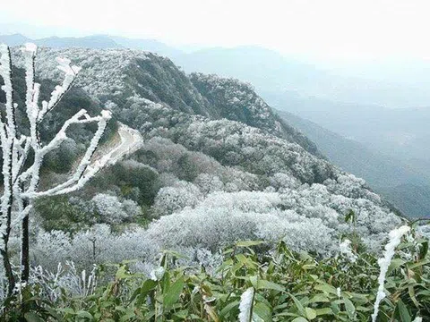 Chủ động ứng phó rét đậm, rét hại