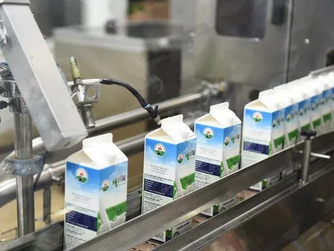 Lợi nhuận Mộc Châu Milk chạm đáy 5 năm
