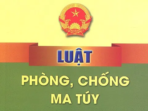 Triển khai thi hành Luật Phòng, chống ma tuý