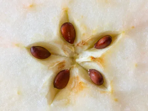 Loại quả chứa chất "kịch độc", quả số 1 mâm cơm nhà nào cũng có