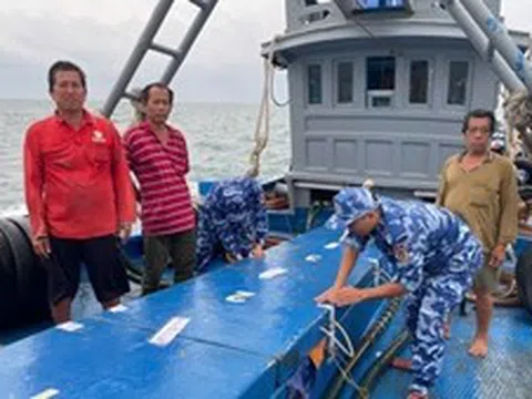 Tạm giữ tàu cá chở 50.000 lít dầu DO không rõ nguồn gốc