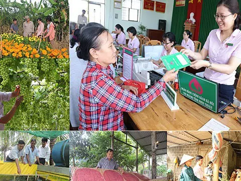 Quy định về tổ chức, hoạt động của Ngân hàng Chính sách xã hội