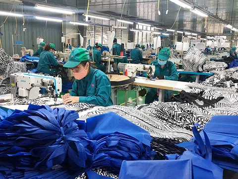 Chương trình phục hồi kinh tế có bị lạc hậu khi 'vấp' lực cản?