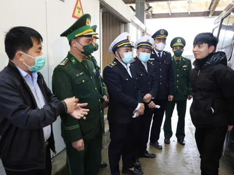 Hà Tĩnh chủ động phòng chống bệnh do virus Nipah