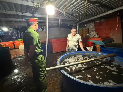 Triệt phá đường dây ngâm 3.000 tấn ốc bươu bằng hóa chất dùng trong xây dựng