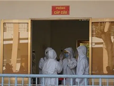 TP Hồ Chí Minh tăng cường phòng, chống nguy cơ xâm nhập virus Nipah