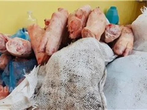 Hải quan phát hiện hơn 1,5 tấn thực phẩm đông lạnh bốc mùi