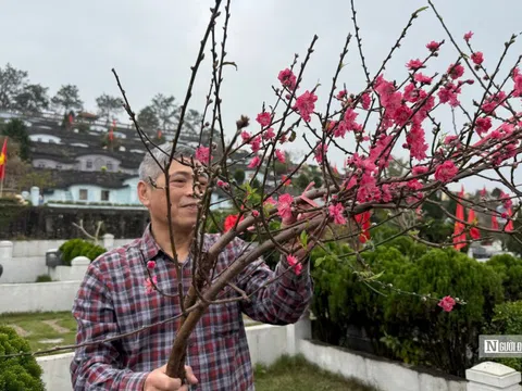 Vượt trăm cây số để "mời các cụ" về ăn Tết
