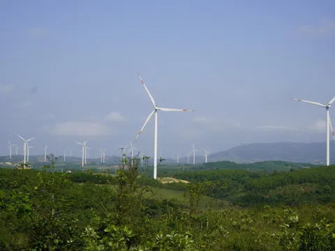 Để đạt Net Zero 2050 giá điện phải tăng thêm 30%