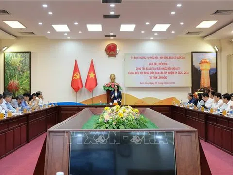 Phó Chủ tịch nước yêu cầu đảm bảo quy trình bầu cử diễn ra chặt chẽ, nghiêm túc